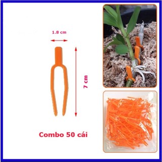 Kẹp ghim cố định và định vị kei phong lan combo 50 cái