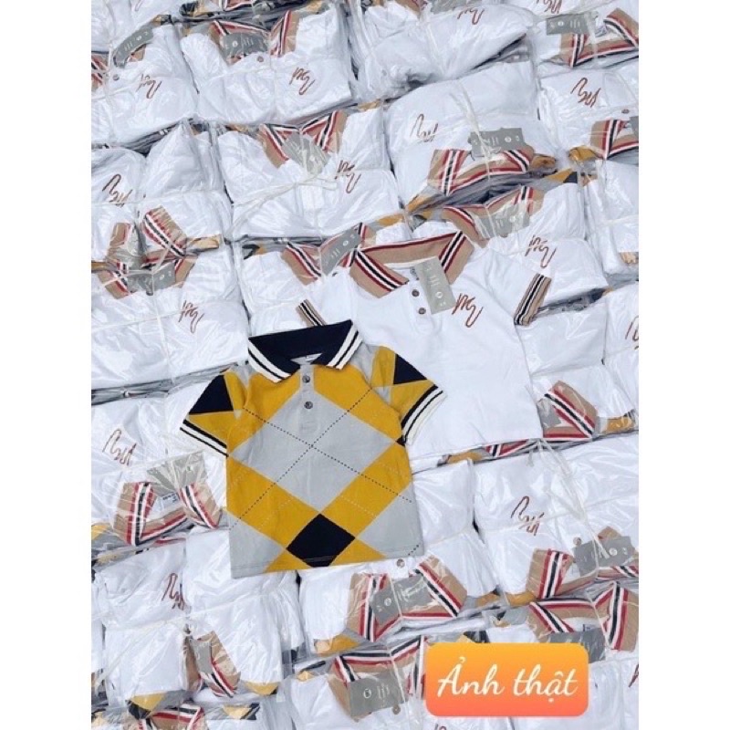 SET 2 ÁO POLO CỔ BẺ TRÁM VÀNG- TRẮNG BT