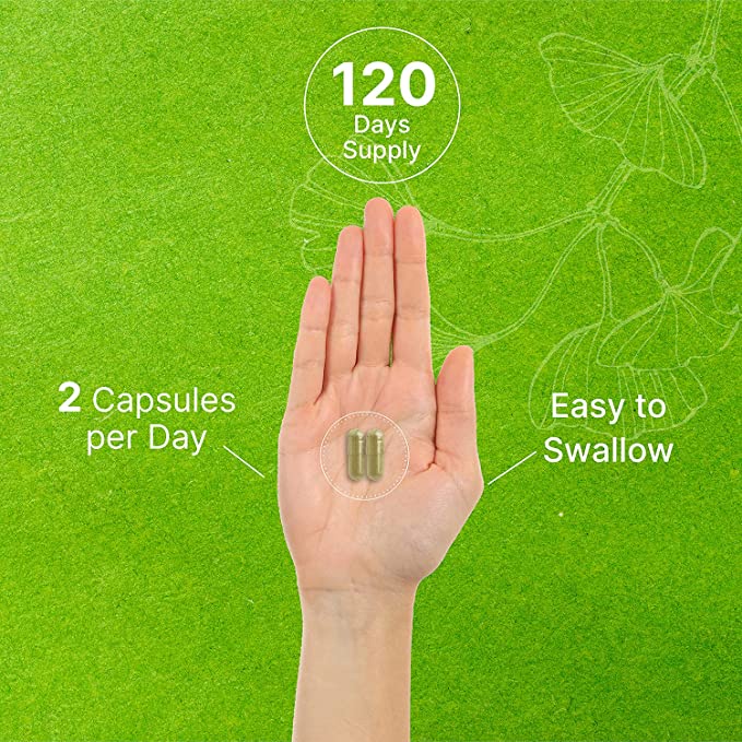 Deal Supplement Ginkgo Biloba 500mg - Viên uống bổ não, hỗ trợ trí nhớ và sự tập trung 240 viên