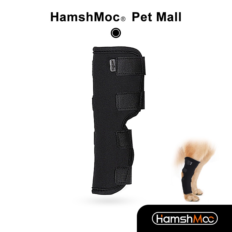 HamshMoc Đai Quấn Mềm Mại Bảo Vệ Vết Thương Chống Bong Gân Có Thể Điều Chỉnh Cho Thú Cưng