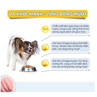 [40g- GIFT] THỨC ĂN HẠT CHO CHÓ DOG MANIA