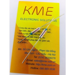 Cầu chì nhiệt ry 165 10a 250v