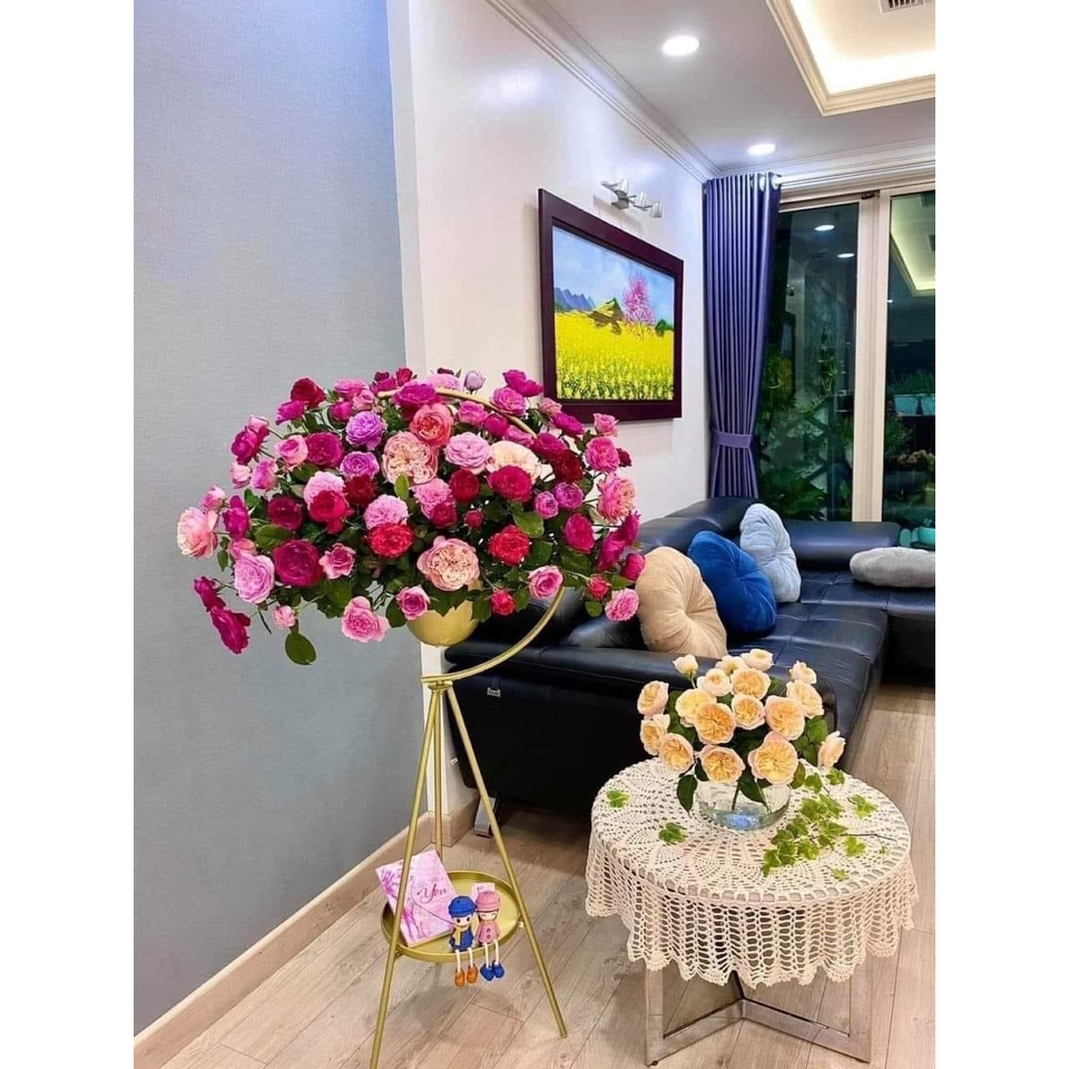 GIÁ TREO HOA MẪU MỚI