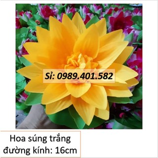 Sỉ hoa múa sân trường, hoa múa đeo tay đẹp