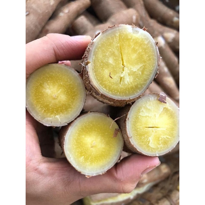 ] 5 KG CỦ KHOAI MÌ RUỘT VÀNG DẺO THÁI LAN