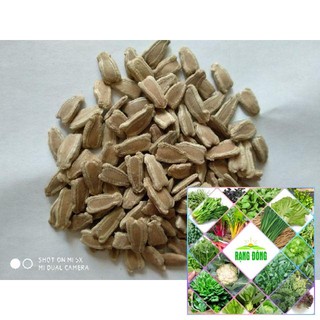Hạt giống bầu hồ lô 5 hạt