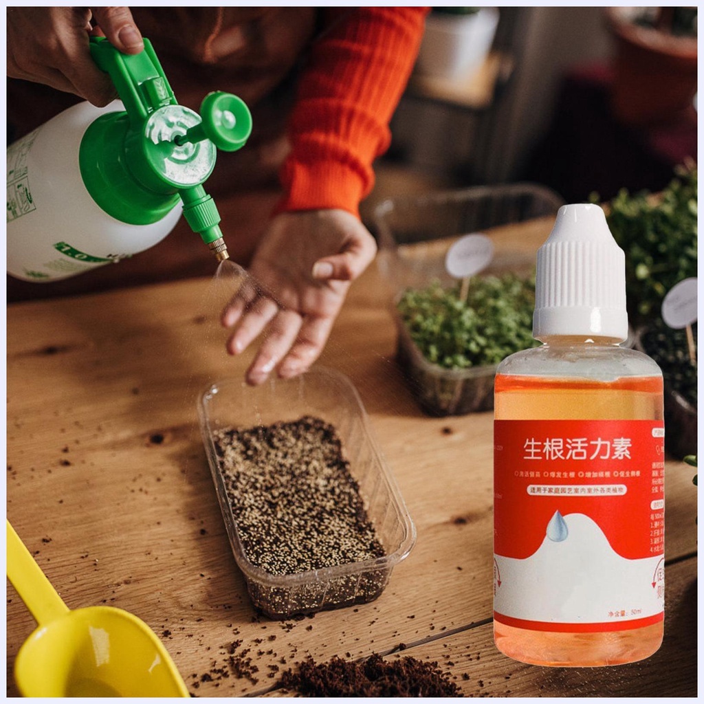 Tinh Chất Kích Thích Mọc Rễ Cây 50ml Cho Mọi Loại Da
