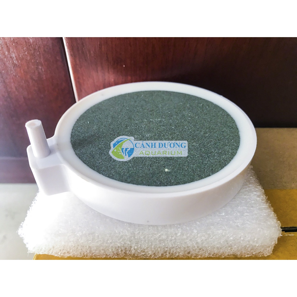 Sủi dĩa Nano- Sủi oxy siêu mịn C50 D50 C80 kích thước sủi 5cm 8cm
