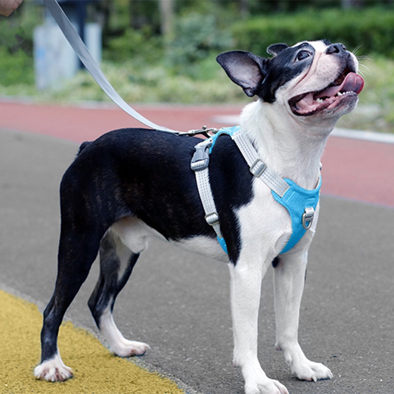 HamshMoc Dây Dắt Thú Cưng Đi Dạo Bằng Nilon Mềm Mại Thoáng Khí Có Thể Điều Chỉnh