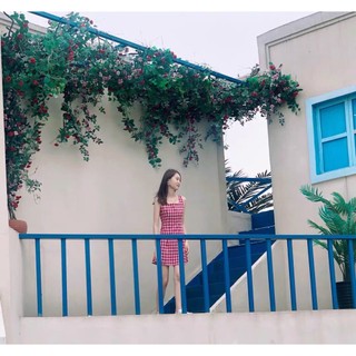 [ORDER] VÁY ĐẦM SUÔNG KẺ CARO