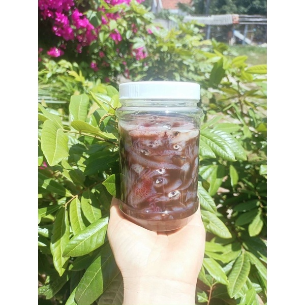 Mắm mực[ Đặc sản Phú Yên ]