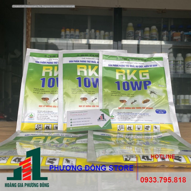 Thuốc diệt muỗi và côn trùng RKG 10 WP 62.5g