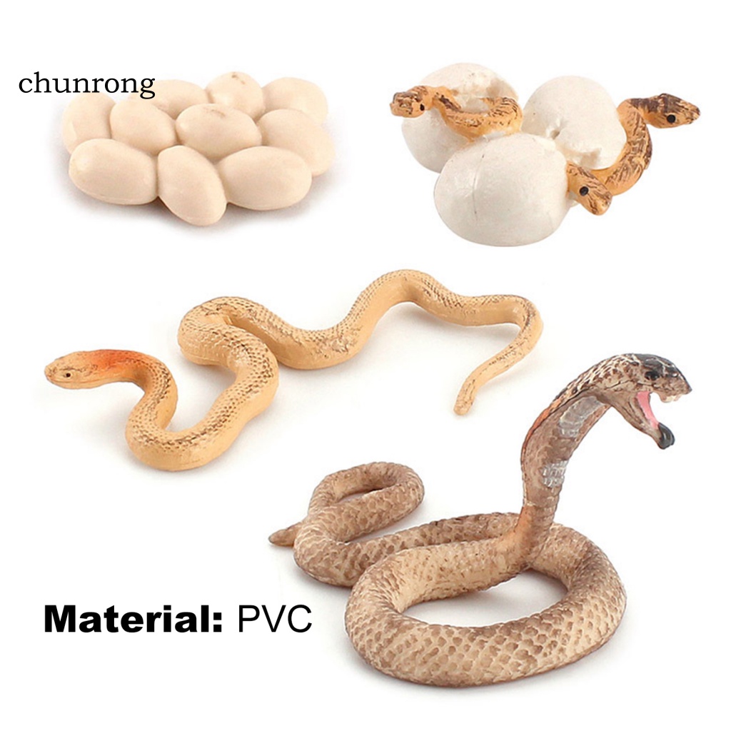 Cr Mô Hình Rắn Đồ Chơi Bằng Nhựa Cho Bé