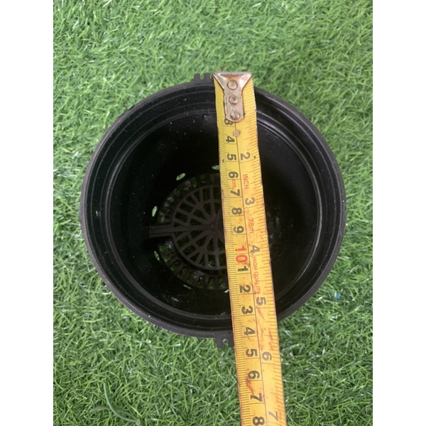 Chậu nhưa trồng lan phi 14cm