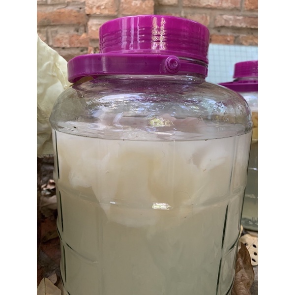 Dấm chuối thủ công lên men tự nhiên có giấm cái