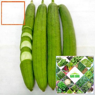 10h - hạt giống mướp hương hạt giống nông trại xanh the garden