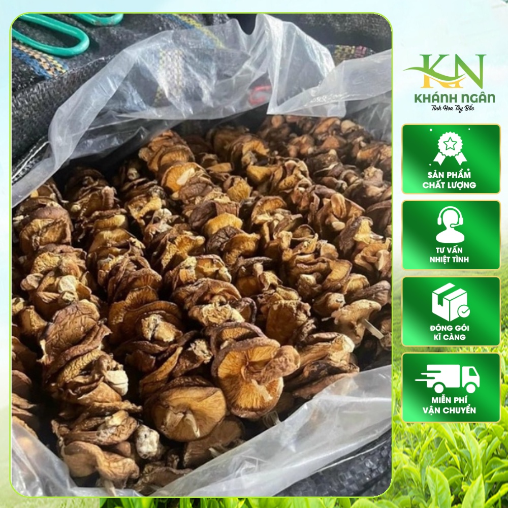 Nấm Hương Rừng Khô Lai Châu Túi 500G Thơm, Ngon Giàu Dinh Dưỡng, Đặc Sản Tây Bắc