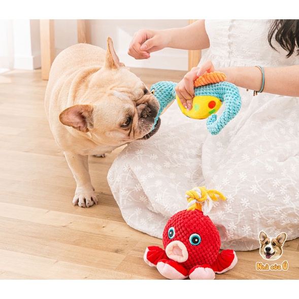 Đồ Chơi Gặm Chó Chó - Đồ Chơi Dây Vặn Thừng Cao Cấp Cho Chó
