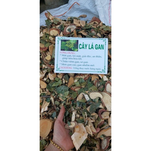Cây lá gan ( 1 kg cây lá gan hàng rừng)