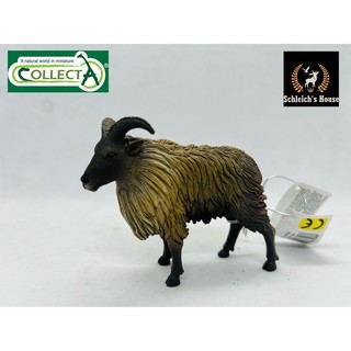Mô hình động vật , đồ chơi con vật CollectA chính hãng Dê núi Himalaya 88758 - Schleich House