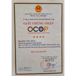 Tinh bột hẹ Vietherbes - 50g