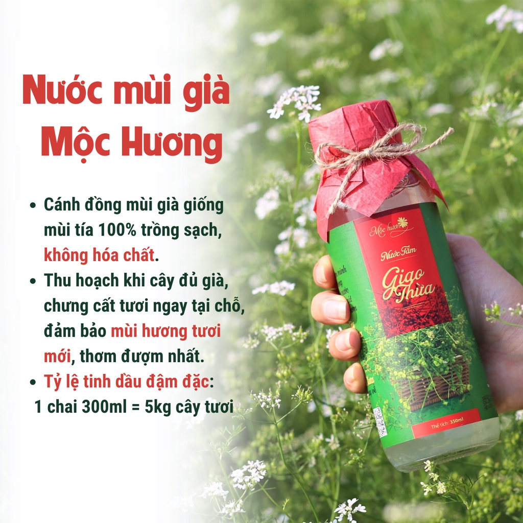 Nước Mùi Già MỘC HƯƠNG Pha Nước Tắm, Lau Nhà, Xông Phòng Khử Mùi Ẩm Mốc 300ml