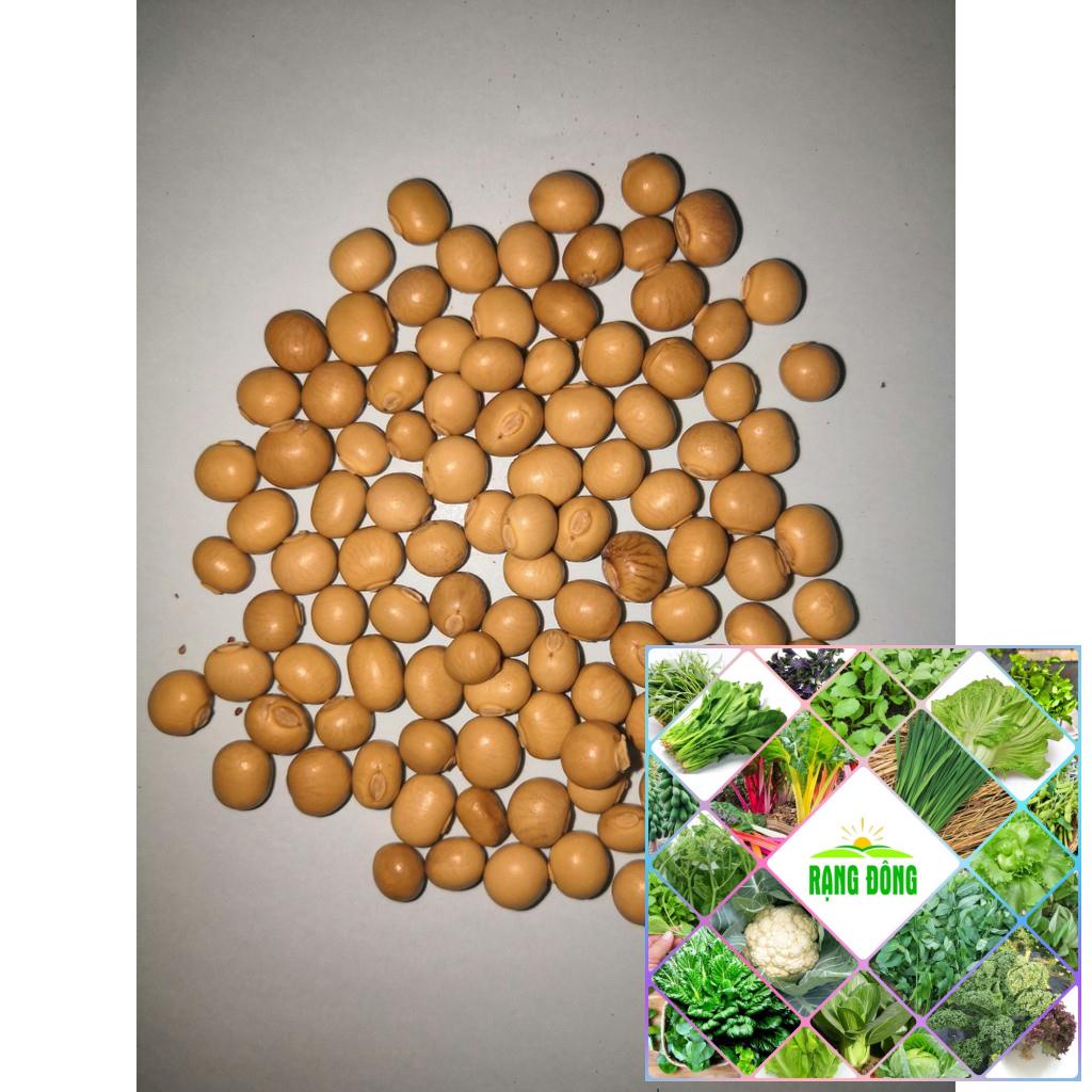 Gói 10 hạt giống đậu rồng