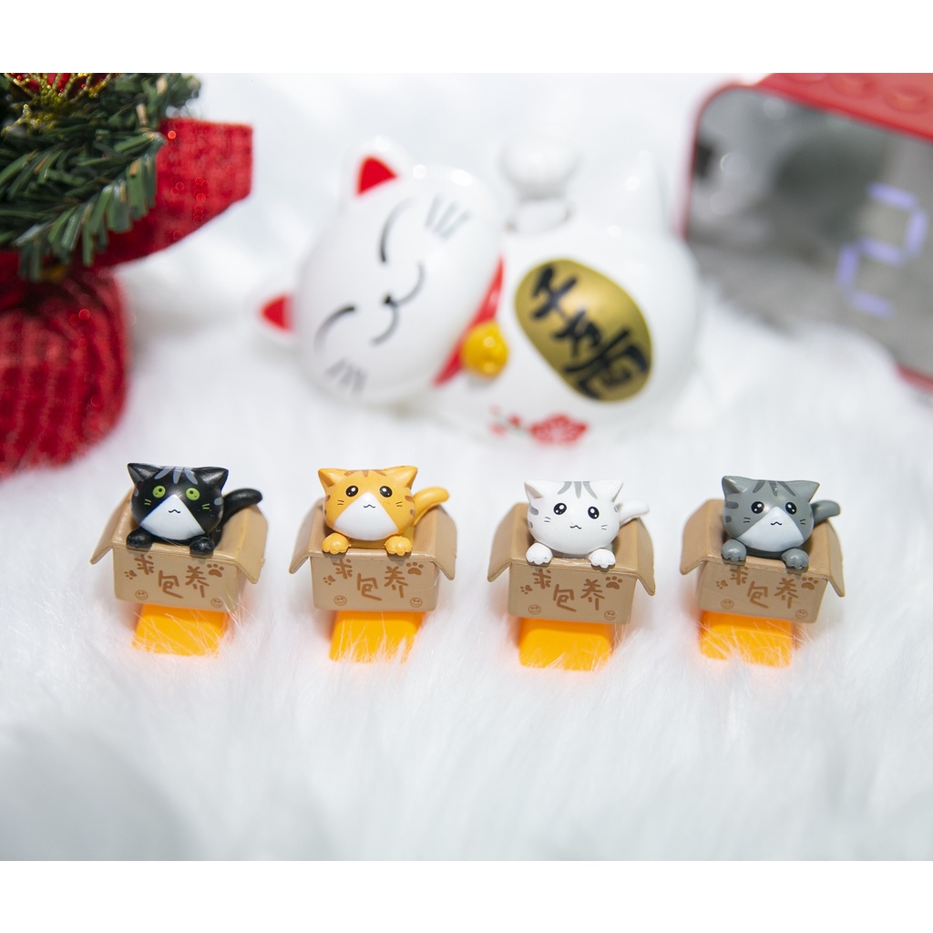 Keycap Mèo Con Trong Hộp Cute, Nút bàn phím Mèo Dễ thương
