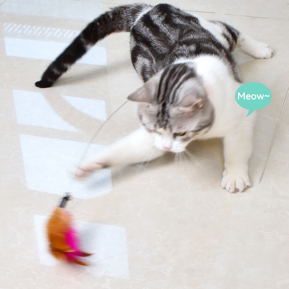 Gậy Lông Vũ Cổ Áo Tự Phục Hồi Vui Nhộn Đa Năng Dành Cho Mèo Cưng