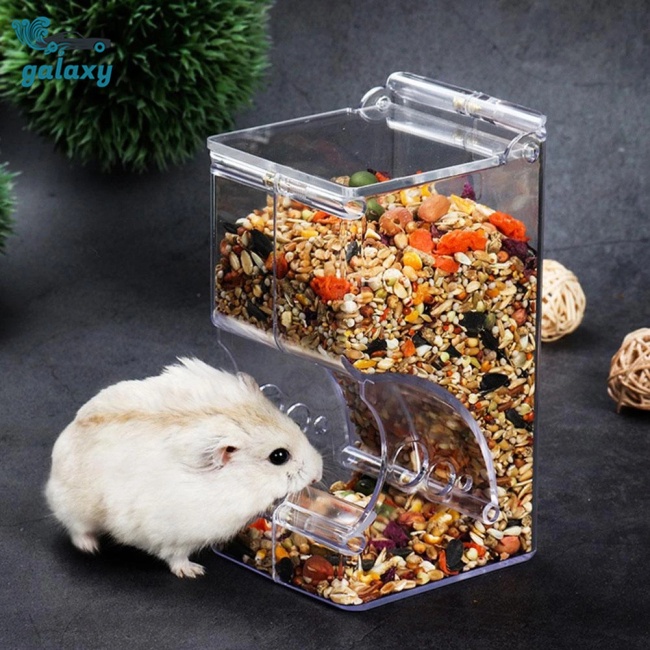 Galaxy Hộp Đựng Thức Ăn Tự Động Cho Chuột Hamster Thỏ Chinchilla
