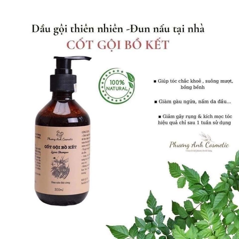 Cốt gội bồ kết