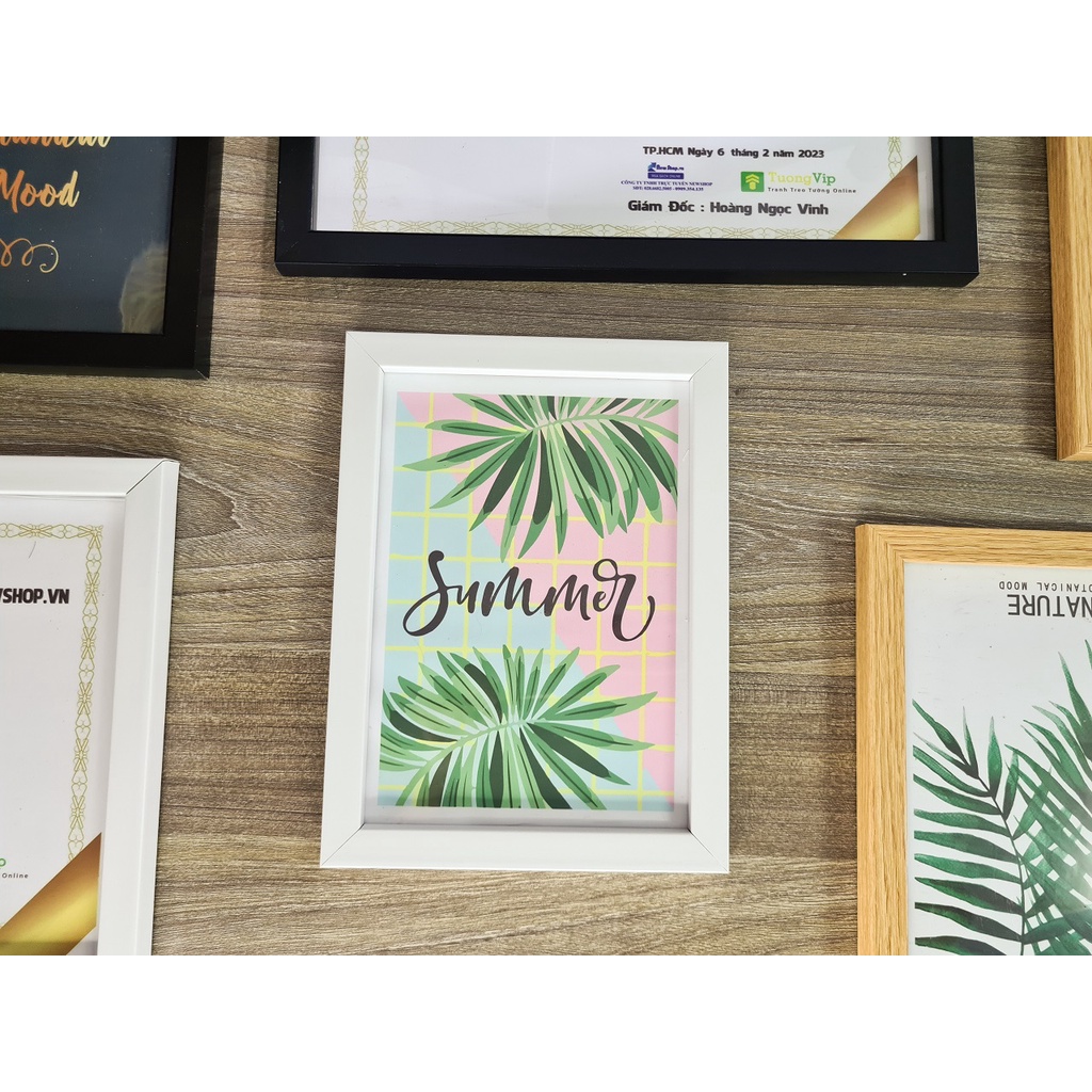 Khung Ảnh - Khung Bằng Khen 15x21cm /13x18cm - Khung Composite, Mặt Mica Treo Tường Để Bàn TƯỜNG VIP