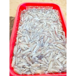 Mắm mực[ Đặc sản Phú Yên ]