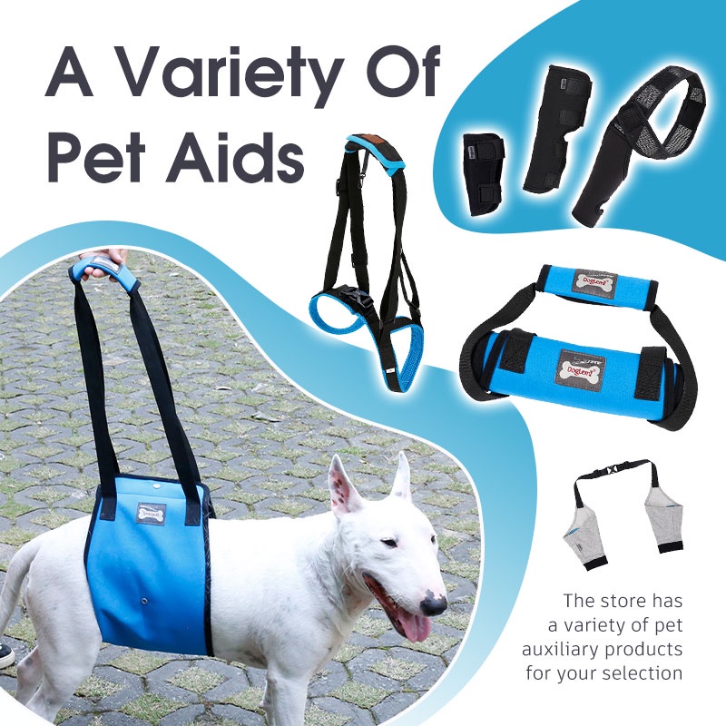 HamshMoc Dây Đai Hỗ Trợ Dắt Thú Cưng Đi Dạo Thiết Kế Thoáng Khí Tiện Dụng