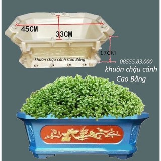khuôn đúc chậu chữ nhật 45 (khuôn chậu ABS có lòng trong)