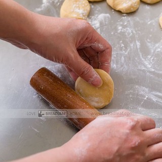 CÂY GỖ CÁN BỘT  30 CM - BREADLEAF