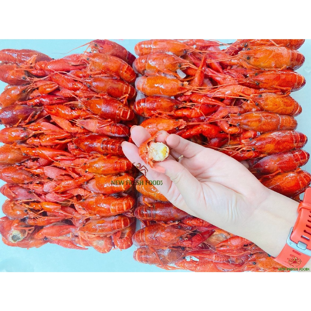 Tôm Hùm Đất Crawfish Size lớn - 2,5kg/túi