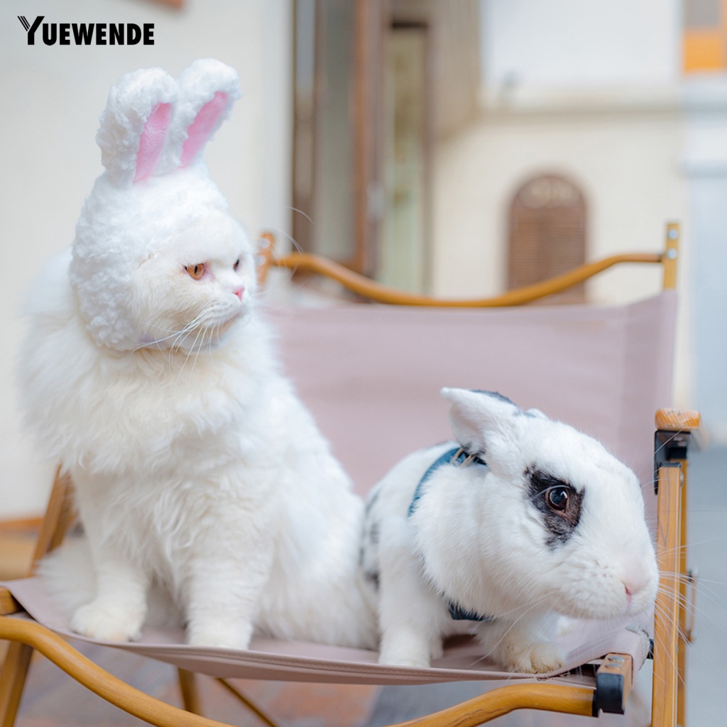 Mũ Cotton Tai Thỏ Hoạt Hình Đáng Yêu Cho Thú Cưng