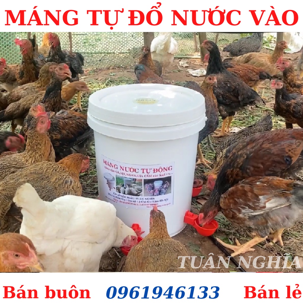 MÁNG UỐNG, CỐC UỐNG NƯỚC TỰ ĐỘNG CHO GÀ,VỊT,NGAN LOẠI MỚI SIÊU BỀN.