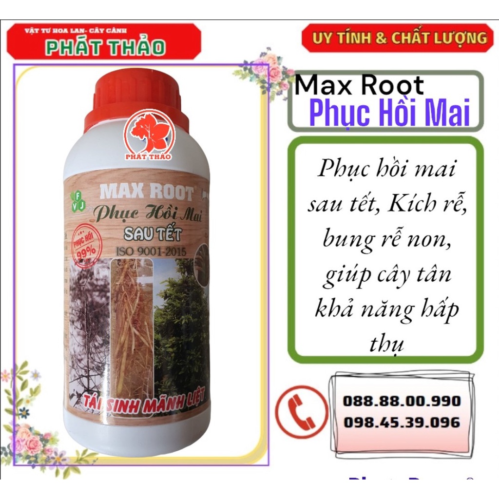 MAX ROOT – PHỤC HỒI MAI SAU TẾT 500ml