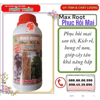 Max root – phục hồi mai sau tết 500ml