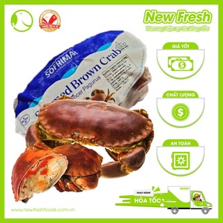 Cua nâu nauy siêu nhiều gạch - con 500gr