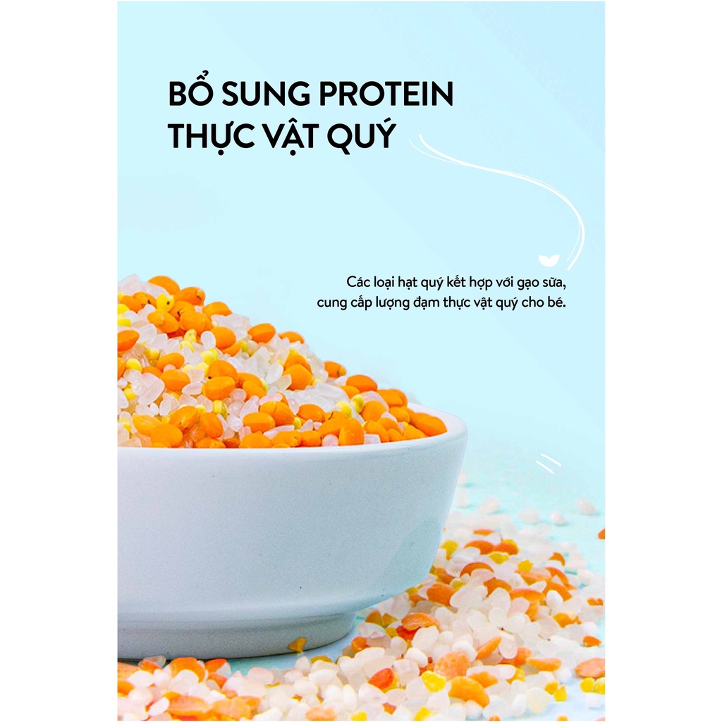 Hạt mix Mămmy cho bé ăn dặm protein mau lại sức trên 6 tháng gạo sữa, đậu đỏ và kê nếp, hũ 145g