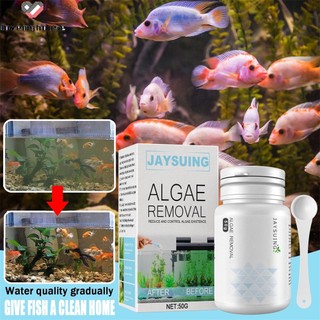 50g bột tảo tảo loại bỏ rêu cho bể cá