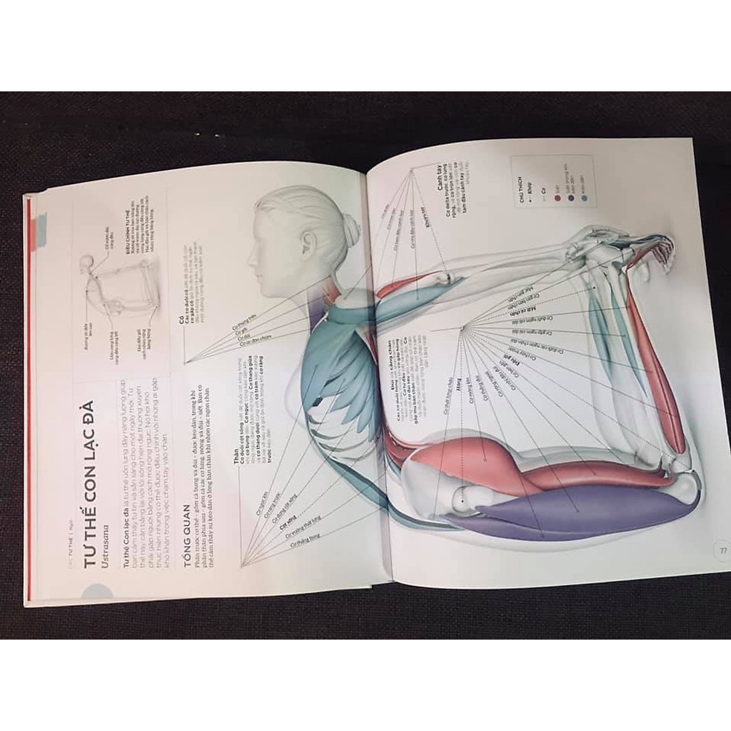 Sách - Khoa học về Yoga