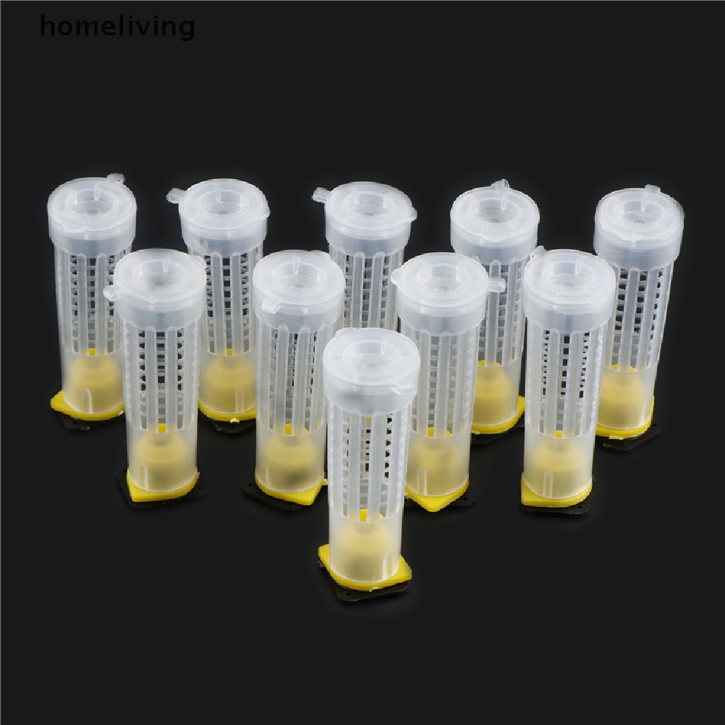 Set 10 Cốc Nuôi Ong Chúa Chuyên Dụng