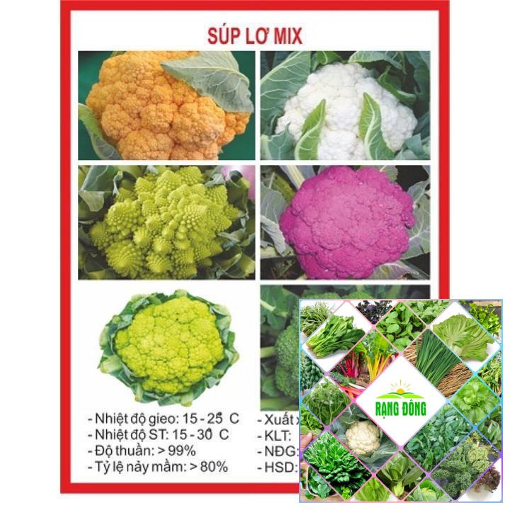 100 hạt giống súp lơ mix nhập khẩu