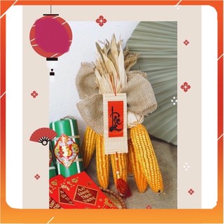 Trái bắp khô,ngô khô trang trí , decor Tết - Pt3