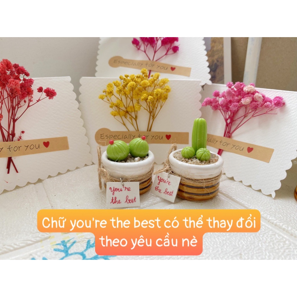 Quà tặng cặp đôi, 2 chậu xương rồng đất sét, kèm thiệp hoa khô và hộp đựng phong cách vintage