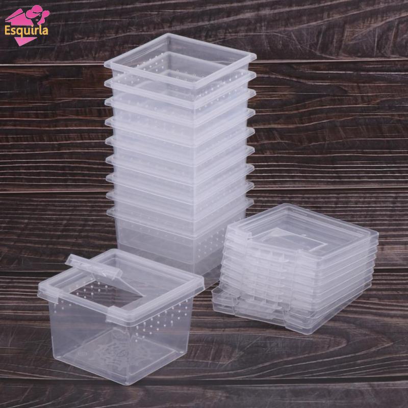 Bộ 40 Hộp Đựng Thức Ăn Trong Suốt Cho Bò Sát / Bò Sát / Thằn Lằn / Bò Sát